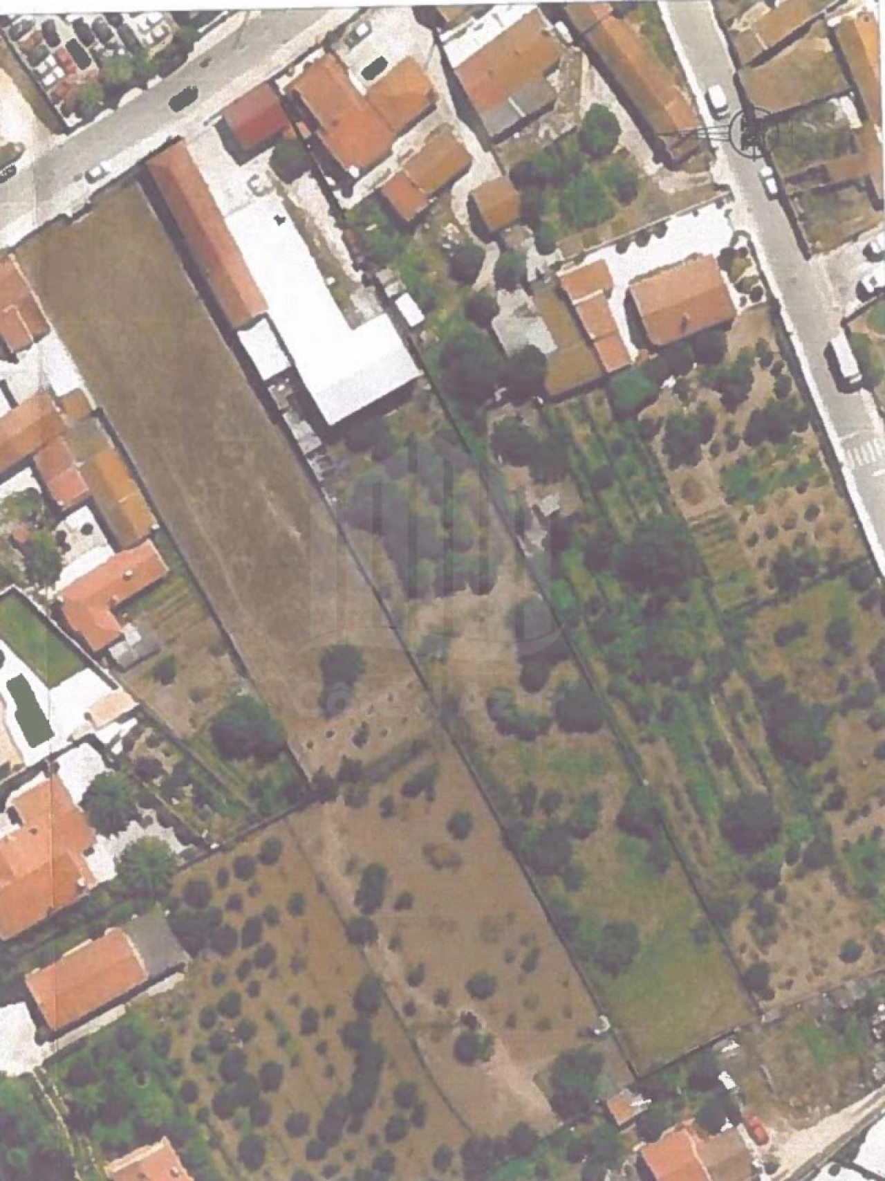 Negócio para Venda em Quinta do Anjo Foto 18