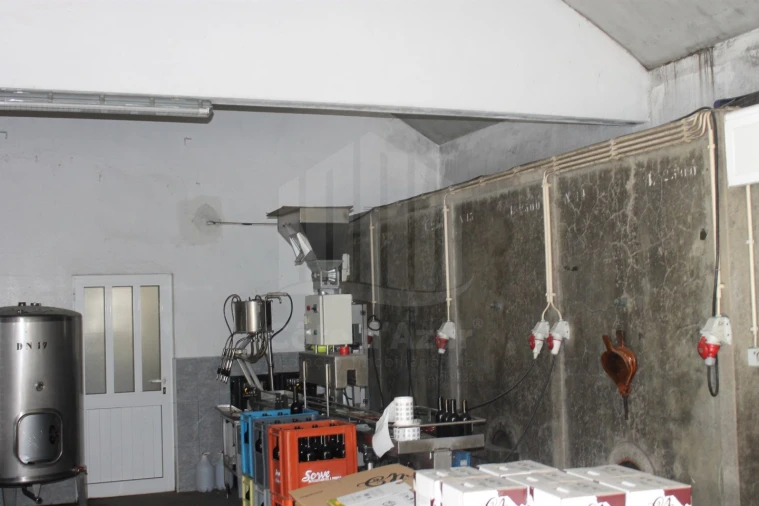 Negócio para Venda em Quinta do Anjo Foto 15