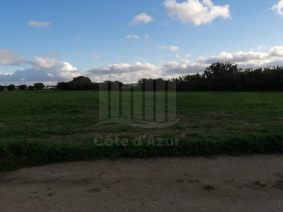 Terreno Misto para Venda em Atalaia e Alto Estanqueiro-Jardia Foto 3