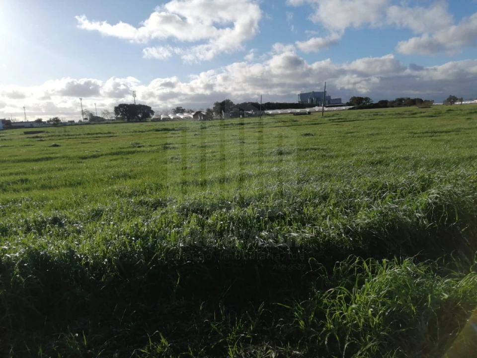 Terreno Misto para Venda em Atalaia e Alto Estanqueiro-Jardia Foto 6