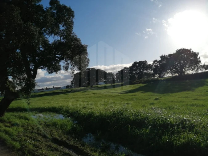 Terreno Misto para Venda em Atalaia e Alto Estanqueiro-Jardia Foto 2