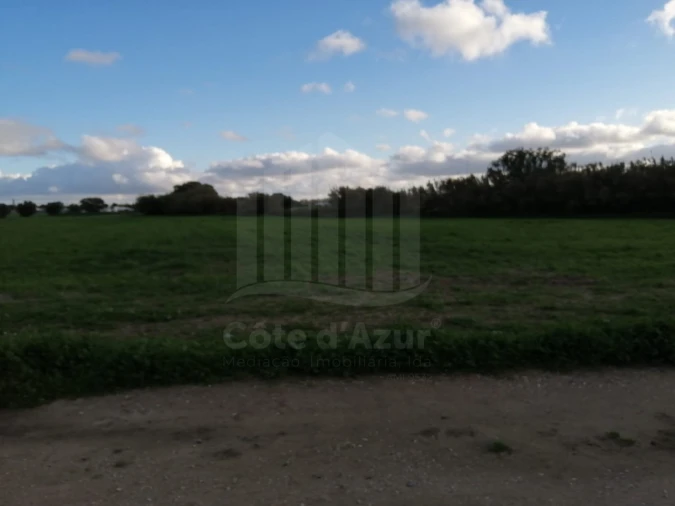Terreno Misto para Venda em Atalaia e Alto Estanqueiro-Jardia Foto 3