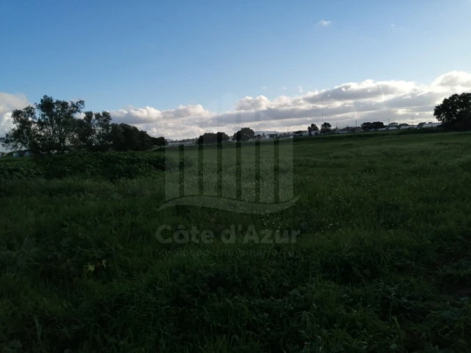 Terreno Misto para Venda em Atalaia e Alto Estanqueiro-Jardia Foto 8