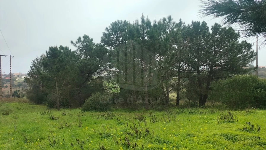 Terreno para Venda em Sesimbra (Castelo) Foto 3