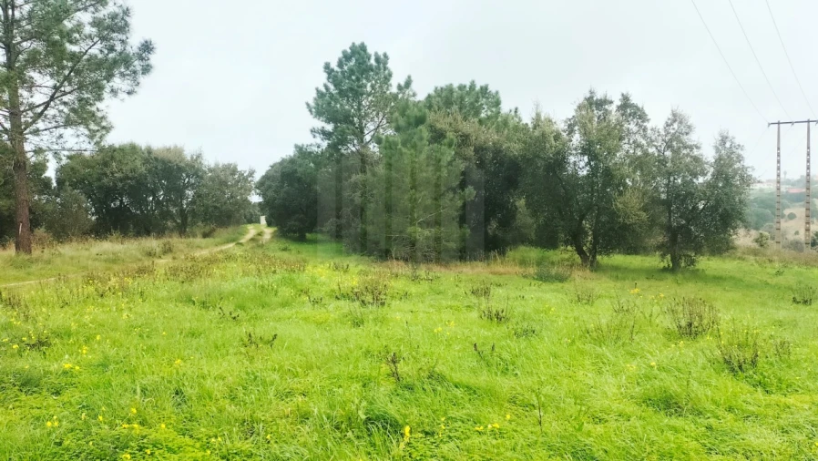 Terreno para Venda em Sesimbra (Castelo) Foto 4