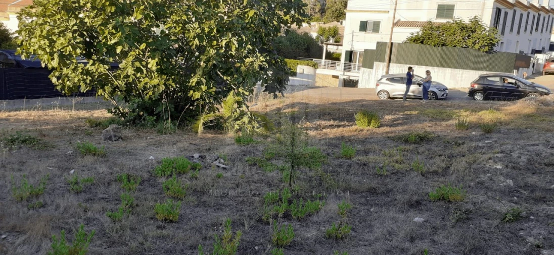 Terreno para Venda em Sesimbra (Castelo) Foto 2