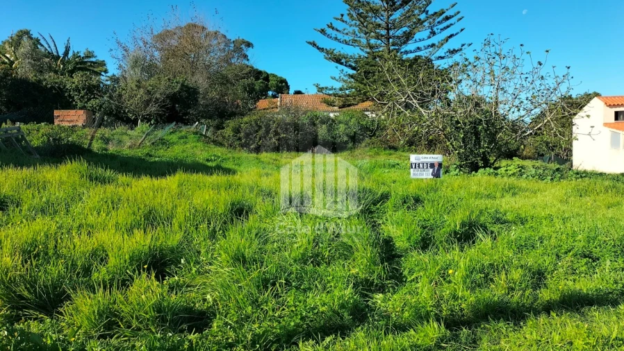 Terreno para Venda em Sesimbra (Castelo) Foto 6