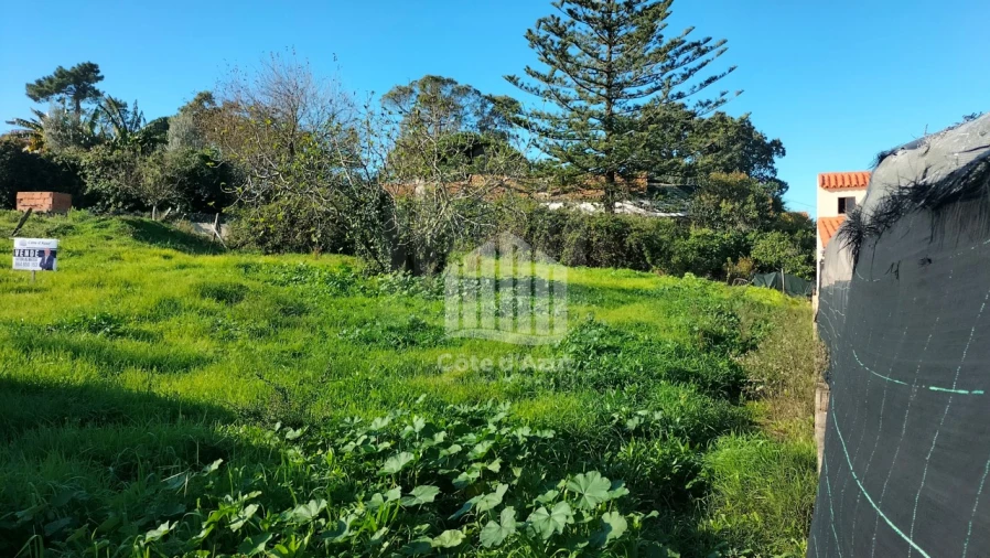 Terreno para Venda em Sesimbra (Castelo) Foto 7