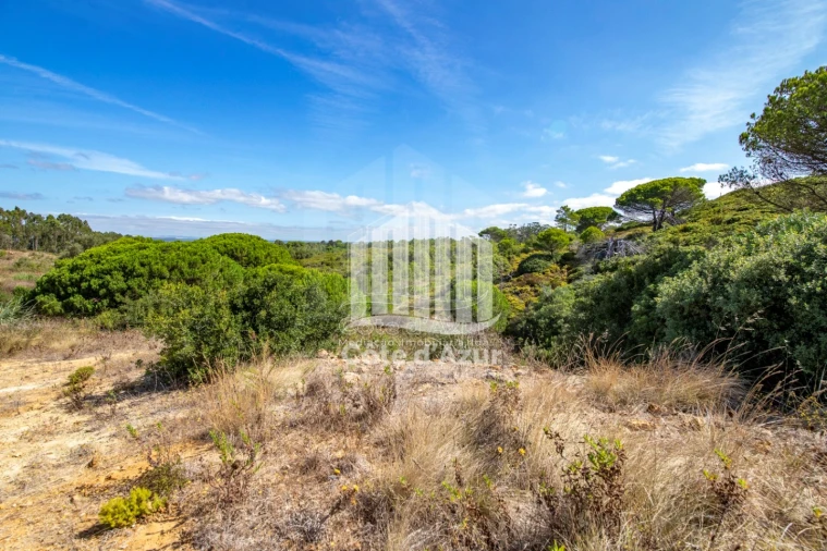 Terreno para Venda em Sesimbra (Castelo) Foto 5