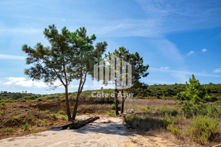 Terreno para Venda em Sesimbra (Castelo) Foto 9