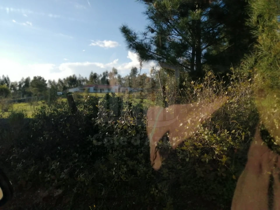 Terreno para Venda em Quinta do Anjo Foto 2