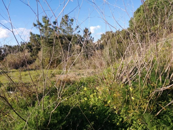 Terreno para Venda em Quinta do Anjo Foto 6