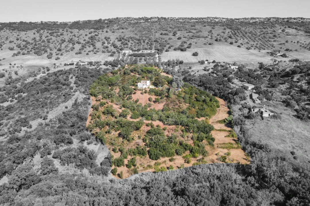 Quinta T3 para Venda em Palmela Foto 2