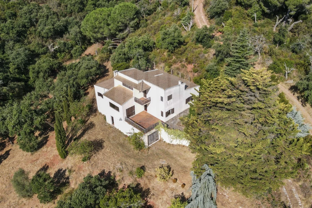 Quinta T3 para Venda em Palmela Foto 4