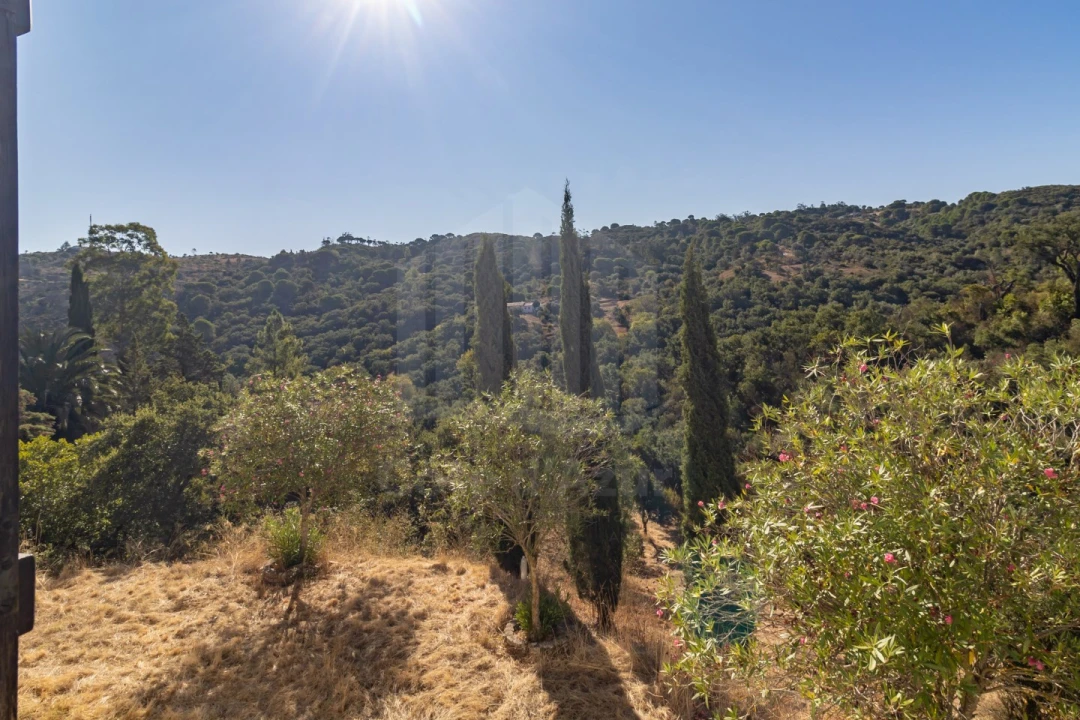 Quinta T3 para Venda em Palmela Foto 20