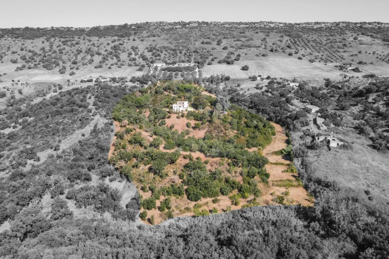 Quinta T3 para Venda em Palmela Foto 2