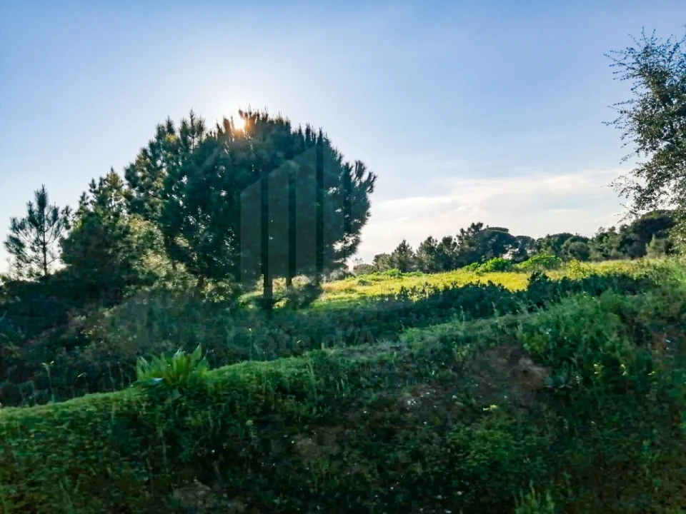 Terreno para Venda em Quinta do Anjo Foto 2