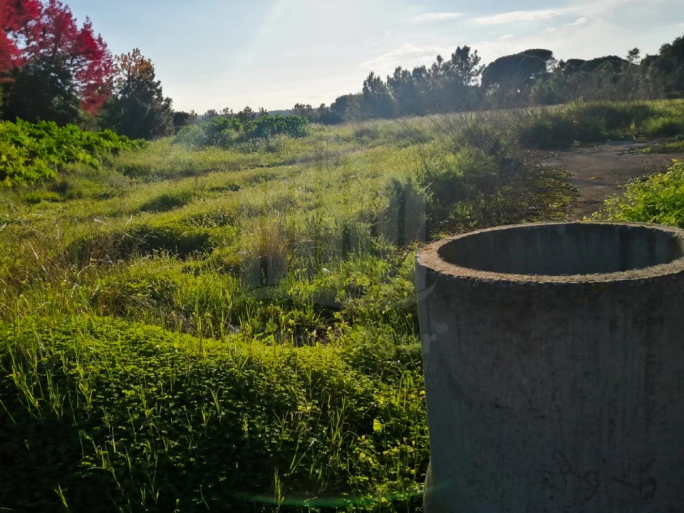 Terreno para Venda em Quinta do Anjo Foto 5