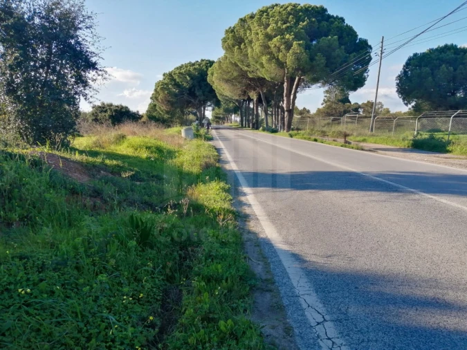 Terreno para Venda em Quinta do Anjo Foto 1