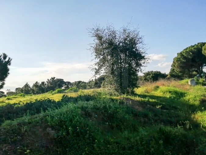 Terreno para Venda em Quinta do Anjo Foto 3