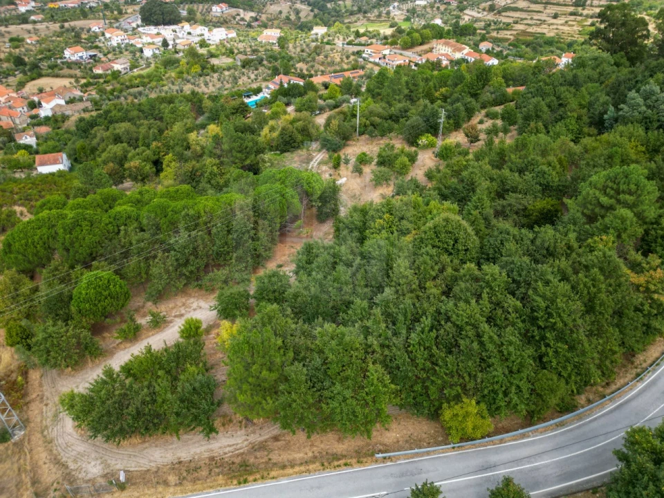 Quinta para Venda em Melo e Nabais Foto 9