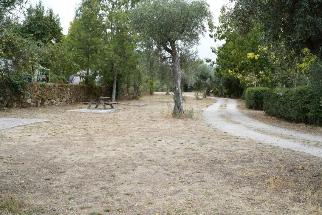 Quinta para Venda em Melo e Nabais Foto 31