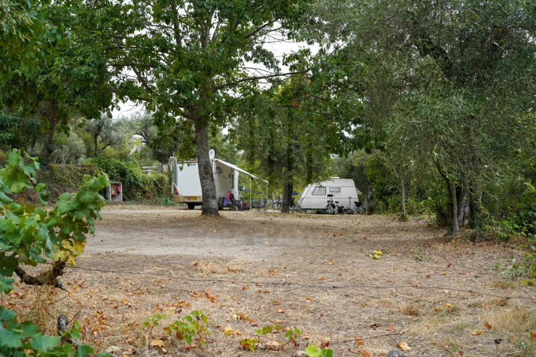 Quinta para Venda em Melo e Nabais Foto 32