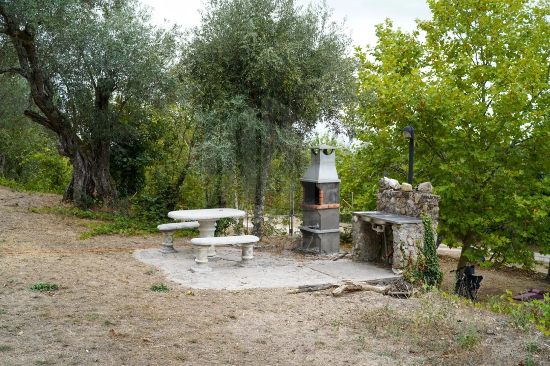 Quinta para Venda em Melo e Nabais Foto 34