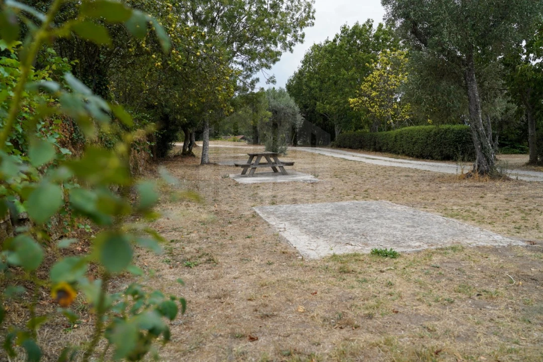 Quinta para Venda em Melo e Nabais Foto 36