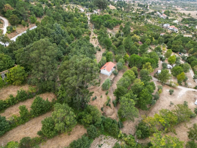 Quinta para Venda em Melo e Nabais Foto 10