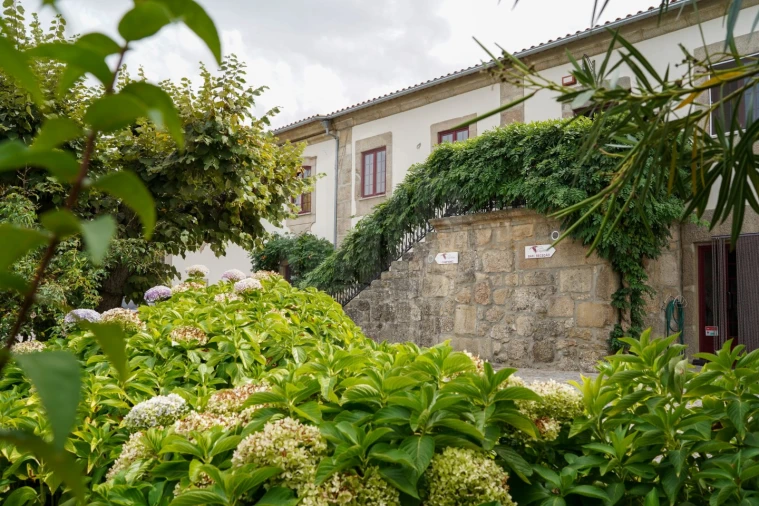 Quinta para Venda em Melo e Nabais Foto 13