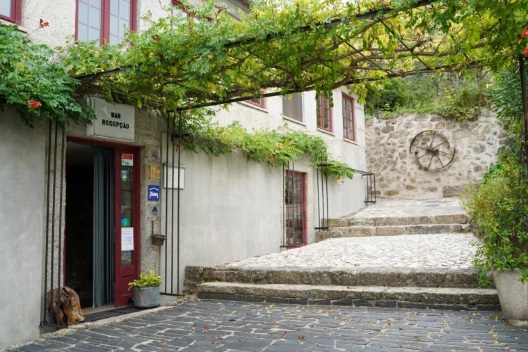 Quinta para Venda em Melo e Nabais Foto 16