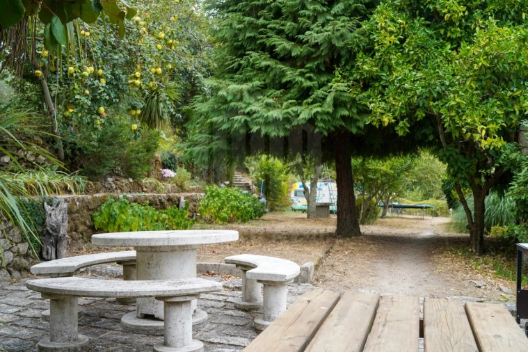 Quinta para Venda em Melo e Nabais Foto 28