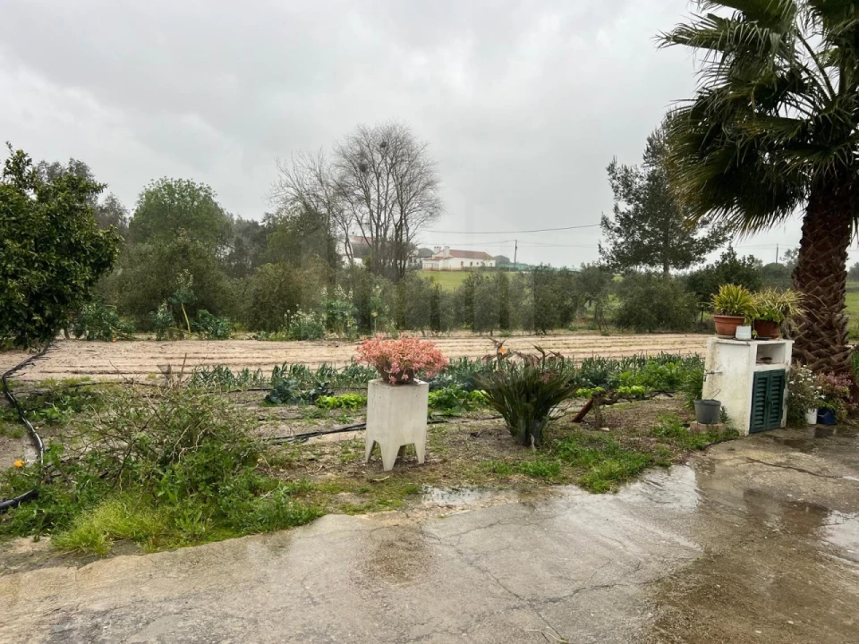 Quinta T4 para Venda em Branca Foto 26