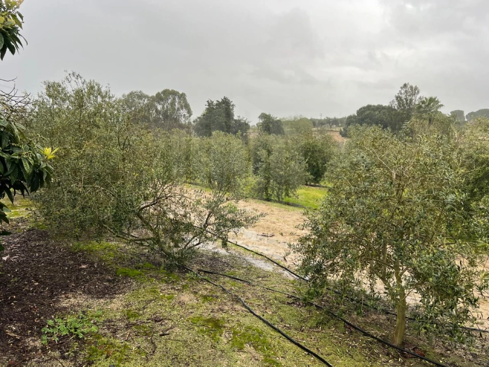 Quinta T4 para Venda em Branca Foto 27