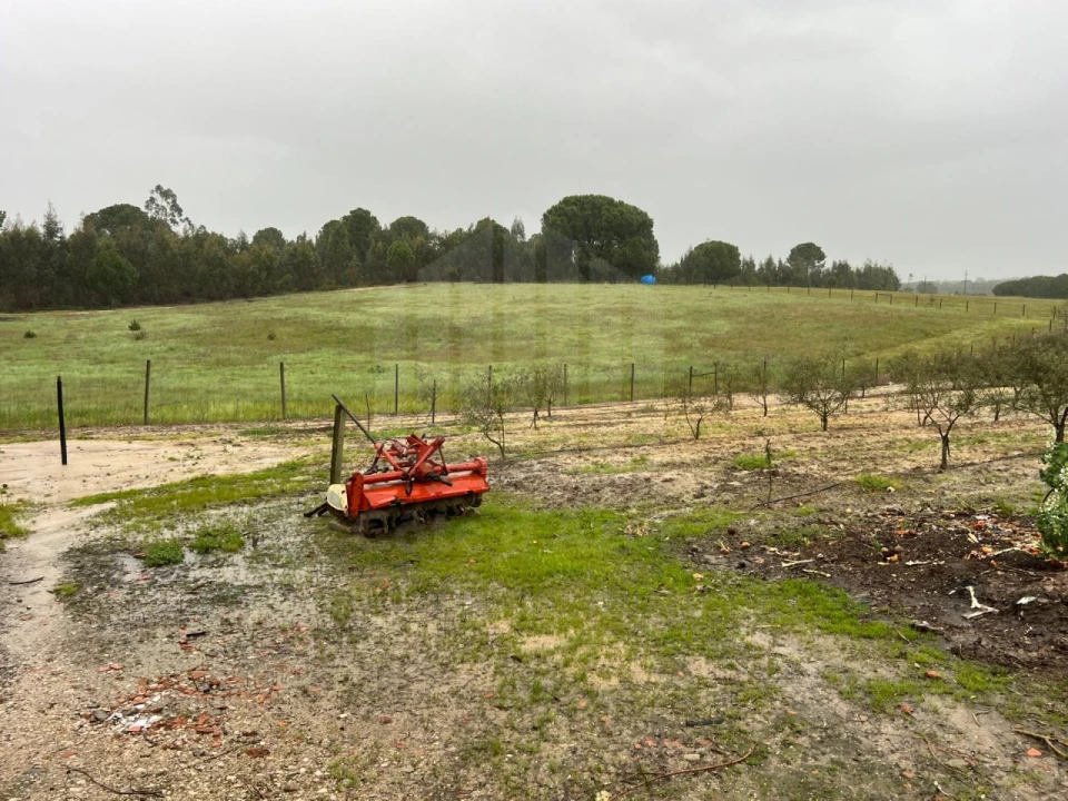 Quinta T4 para Venda em Branca Foto 31