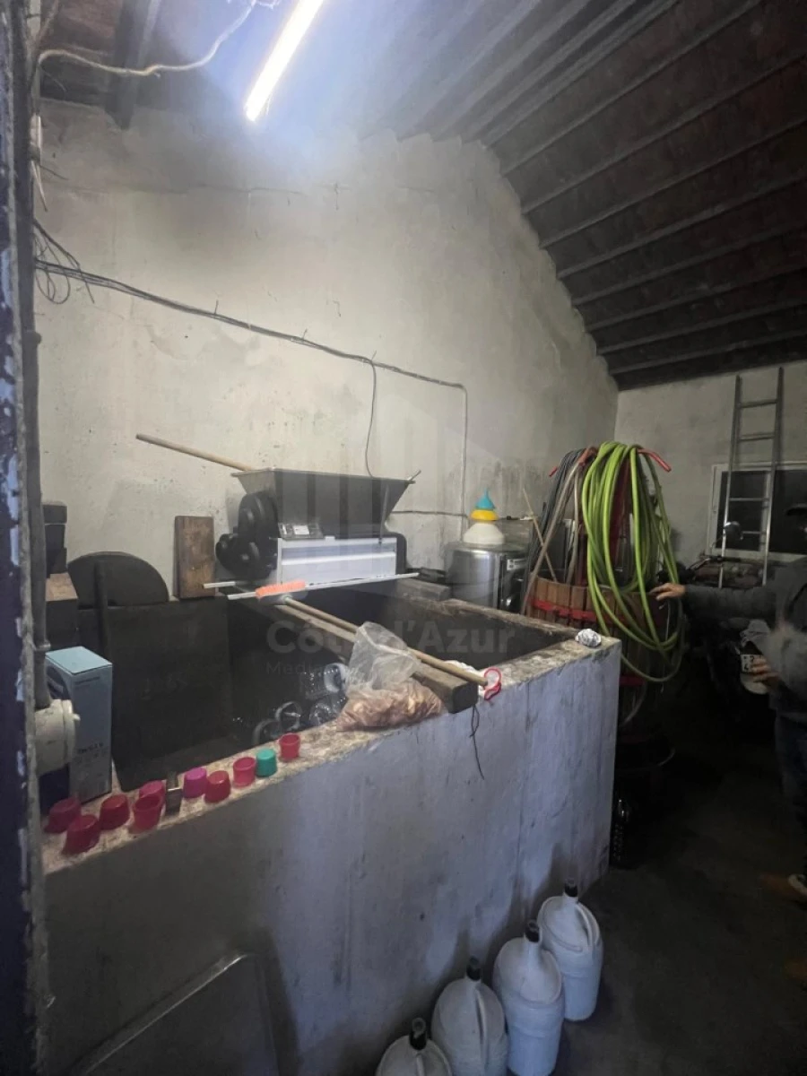 Quinta T4 para Venda em Branca Foto 15