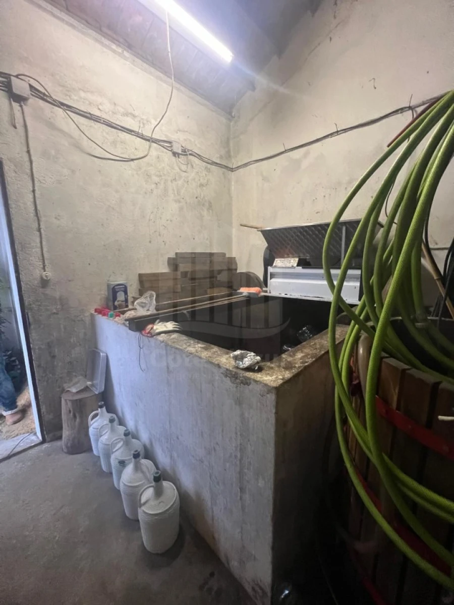 Quinta T4 para Venda em Branca Foto 20