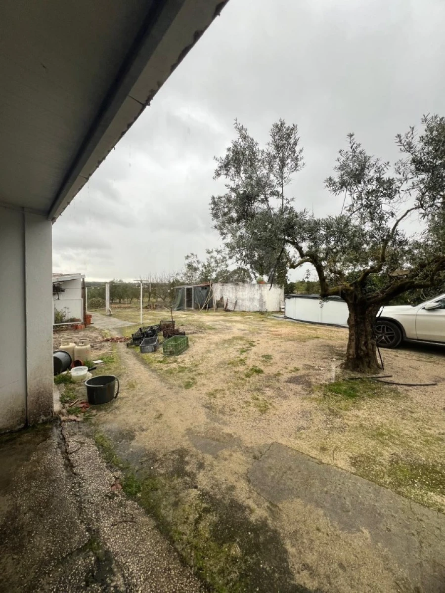 Quinta T4 para Venda em Branca Foto 21