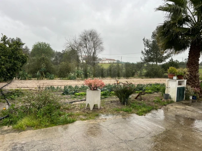 Quinta T4 para Venda em Branca Foto 26