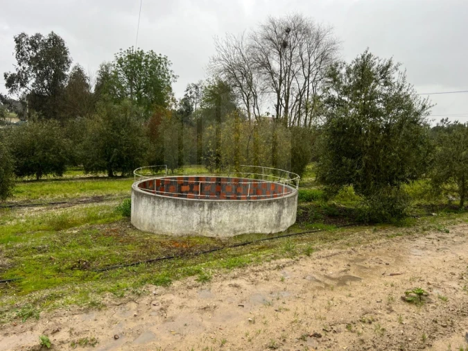 Quinta T4 para Venda em Branca Foto 28