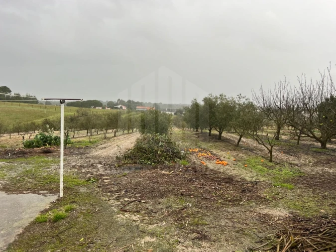 Quinta T4 para Venda em Branca Foto 30