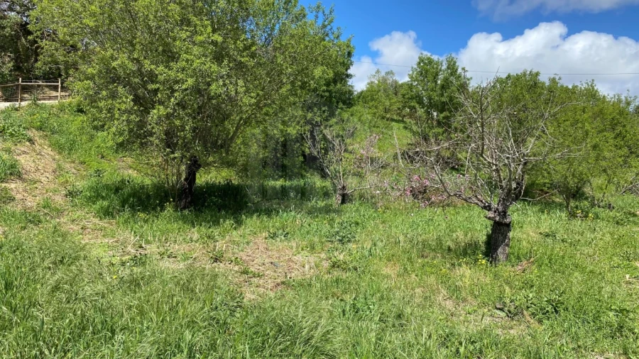 Terreno para Venda em União das Freguesias de Setúbal Foto 3
