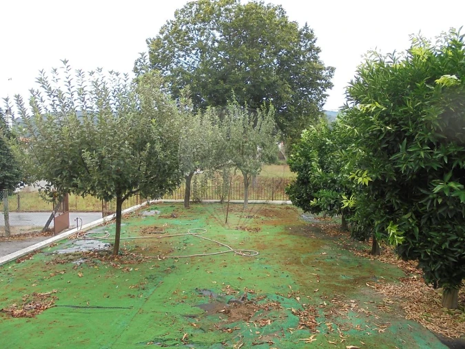 Moradia T1 para Arrendamento em Britelo, Gémeos e Ourilhe Foto 4