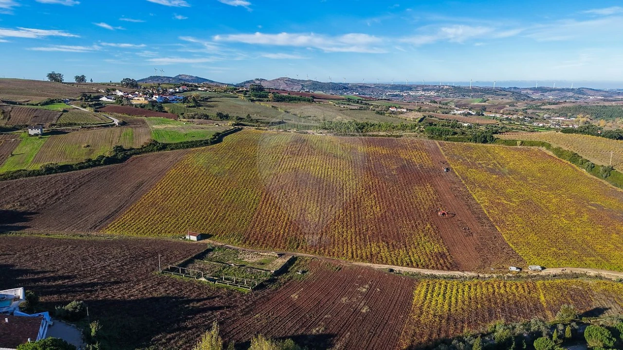 Moradia T2 para Venda em Dois Portos e Runa Foto 17