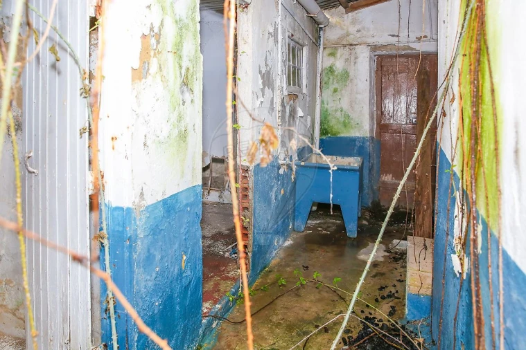 Prédio para Venda em Azambuja Foto 19