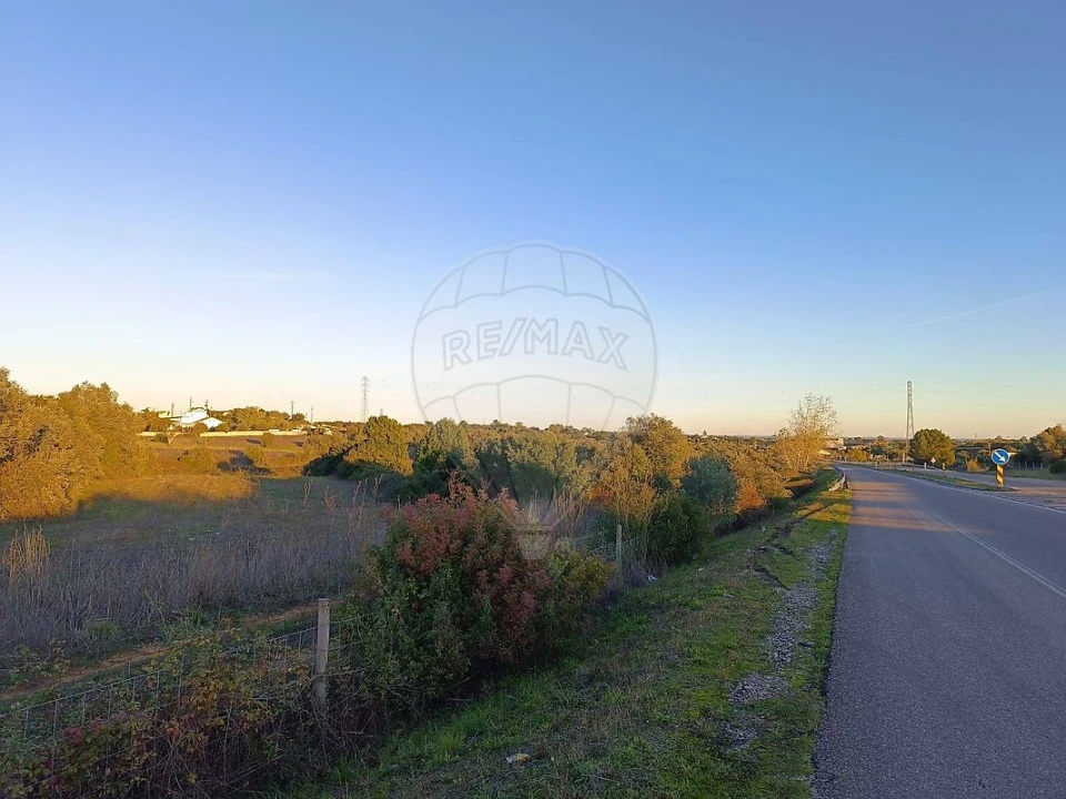 Terreno para Venda em Cartaxo e Vale da Pinta Foto 6