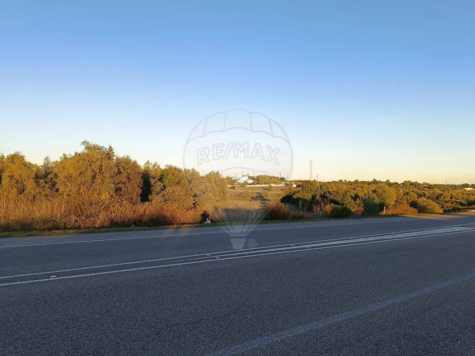 Terreno para Venda em Cartaxo e Vale da Pinta Foto 8