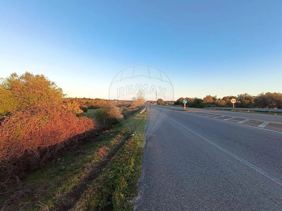 Terreno para Venda em Cartaxo e Vale da Pinta Foto 10
