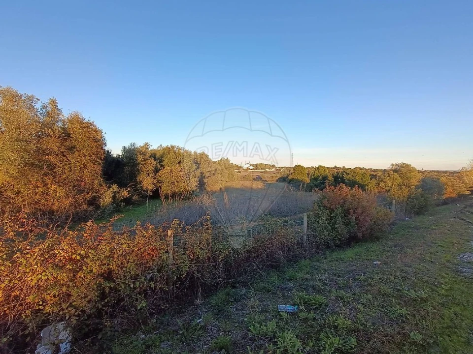 Terreno para Venda em Cartaxo e Vale da Pinta Foto 9